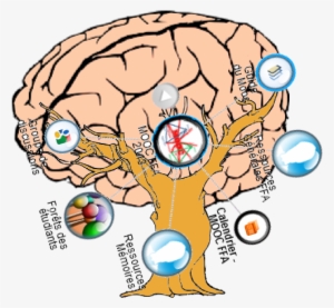 Brain Clipart Png Download