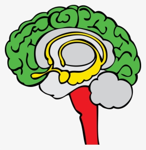 The Stoplight Approach - Limbic System Clipart
