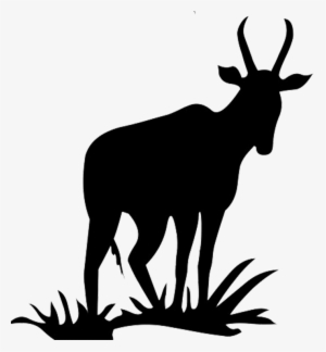 Kangaroo Silhouette Png, Antelope Silhouette Png - Antelope Clipart
