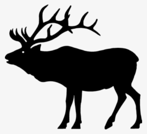 Rocky Mountain Elk Silhouette