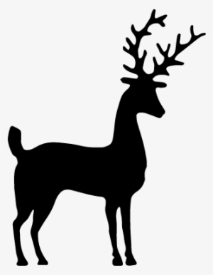Deer Silhouette Vector - Silhouet Hert