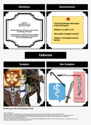 The Lightning Thief - Becoming Doctors: Medical Schools In Virginia And West