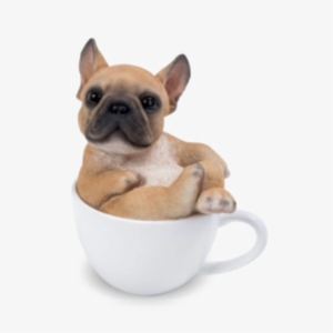 Bulldog Png Pic - Dog In Teacup Png