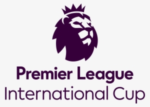 Premier League 2 Cup