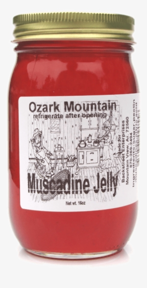 Muscadine Jelly - Muscadine