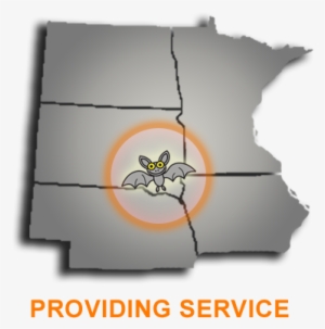 Nobody Wants Bats In Their House - Nice Bats - Bat Removal Service