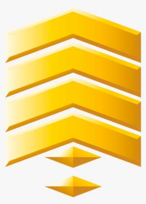 1st Sergeant 49 Days In - Sergeant