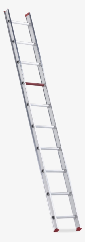 All Round Single Straight Ladder - Ladder