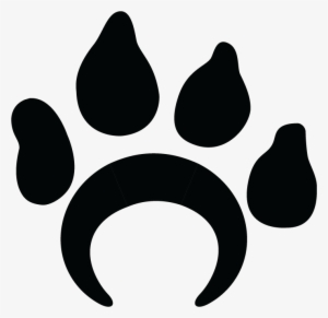 Caacurh 2018-2019 Regional Board Of Directors