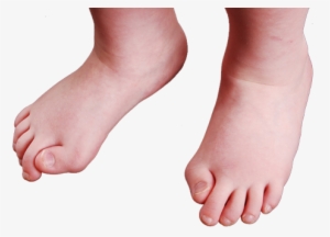 Toes - 性 骨 化 性 線維