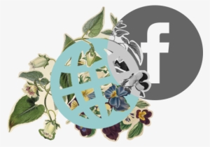 Mark Zuckerberg, The Ceo Of Facebook, Has Said That - Facebook