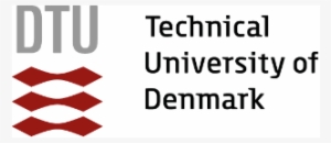 Find Out How Belbin Denmark Applied Team Role Theory - Technical University Of Denmark Logo