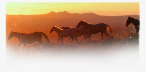 Moffat County, Colorado