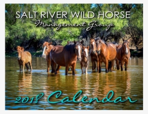 Salt River Wild Horse Management Group Calendar - Mustang Horse