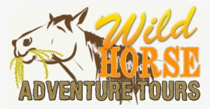 Tour With Us To Find The Outer Banks Wild Spanish Colonial - Wild Horse Adventure Tours