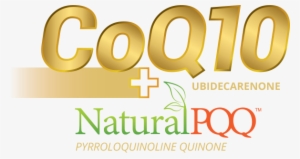 Our Difference - Sotheby's International Realty