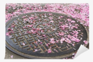 Falling Cherry Blossom Petals On The Sewer Lid - Cherry Blossom