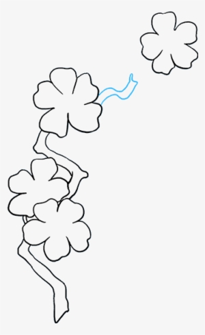 How To Draw Cherry Blossoms - Drawing