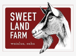 Get Ready For The Creamiest Goat Cheese Recipes You'll - Sweet Land Farm