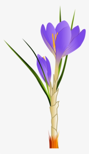 Pin Από Το Χρήστη Damina Hatzisavva Στον Πίνακα Τεχνη - Crocus Clipart