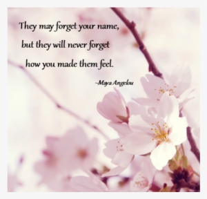 Hello, Dear Friends - Sakura Flower Background Hd