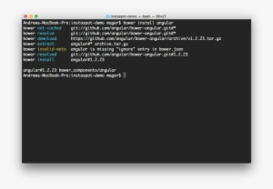 Angular Will Help Us Pull Data From The Instagram Api - Php Web Interactive Shell