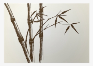 Drawing Of Bamboo