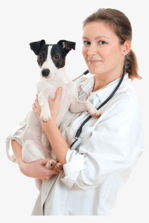 Our Services - Vet Png