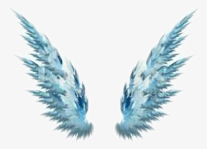 Report Abuse - Drawings Without Background