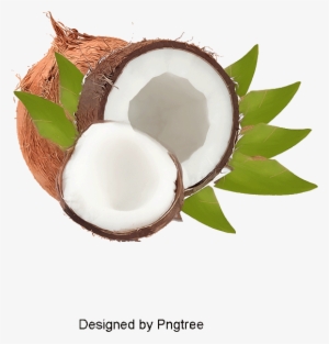 Authentic Coconut, Coconut Clipart, Brown, Cream Png - Lychee