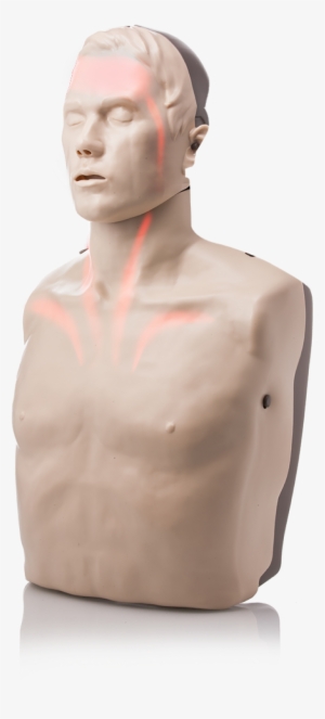 American Red Cross Big Red - Mannequin