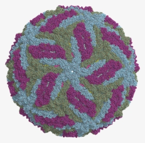 Zika Virus Cryo-em Structure - Cryoelectron Microscopy Zika Virus