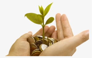 Toggle Navigation - Grow Coin