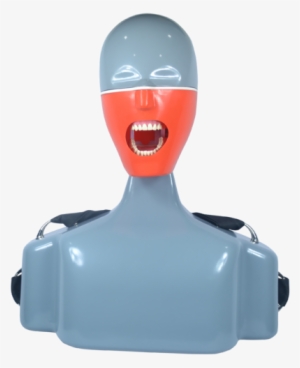 Navadha Itorso Dental Chair Mount Manikin Phantomhead, - Simuladores De Odontologia