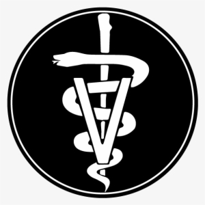 Gin To My Tonic Show