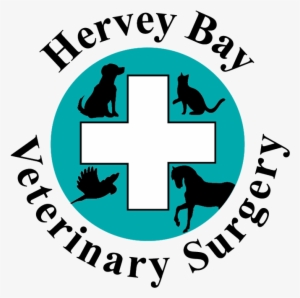 Hervey Bay Vet
