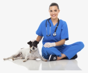 Woman Vet With Dog - Veterinarian Transparent Background
