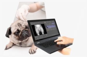 Kabellos/slider Digitales Nachruest - Portable Network Graphics