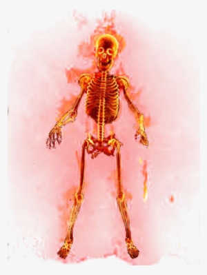 View Samegoogleiqdbsaucenao Flaming Skeleton Tran , - 426x426 PNG ...