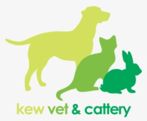 Veterinary Physician