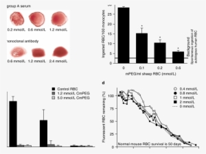 Previous Studies Of Methoxypoly [mpeg]-modified Red - Ethylene Glycol Red Blood Cell