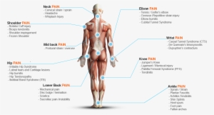 Conditions We Treat - Diagram
