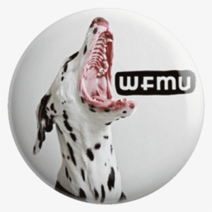 Murro The Dalmation Pin - Dog Catches Something