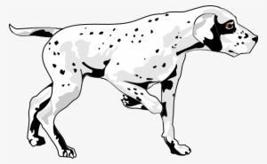 Small - Management Of Cardiac Disease In Dogs