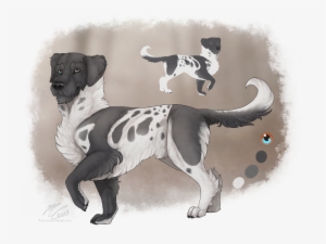 [closed] Adoptable - Poodle/dalmation Mix - Adoption