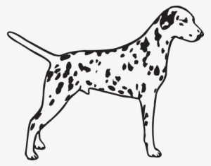 Dalmatian Clip Art