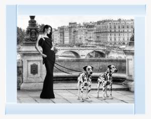 Dalmations - East Urban Home 'walking In Paris' Oil Painting Print