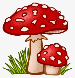 This Free Icons Png Design Of Toadstool