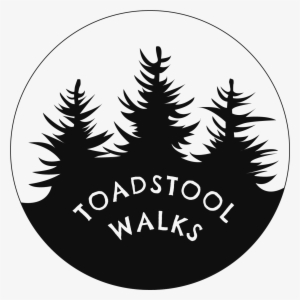 Toadstool Walks Forest Bathing In The Green And Forested - Mushroom