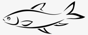 Drawing Clipart Fish Line - Fish Drawing Png